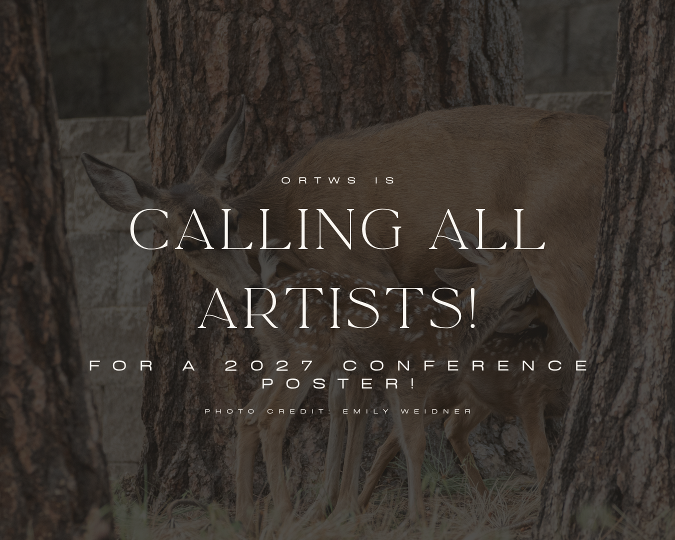 Conference Design Call for Submissions