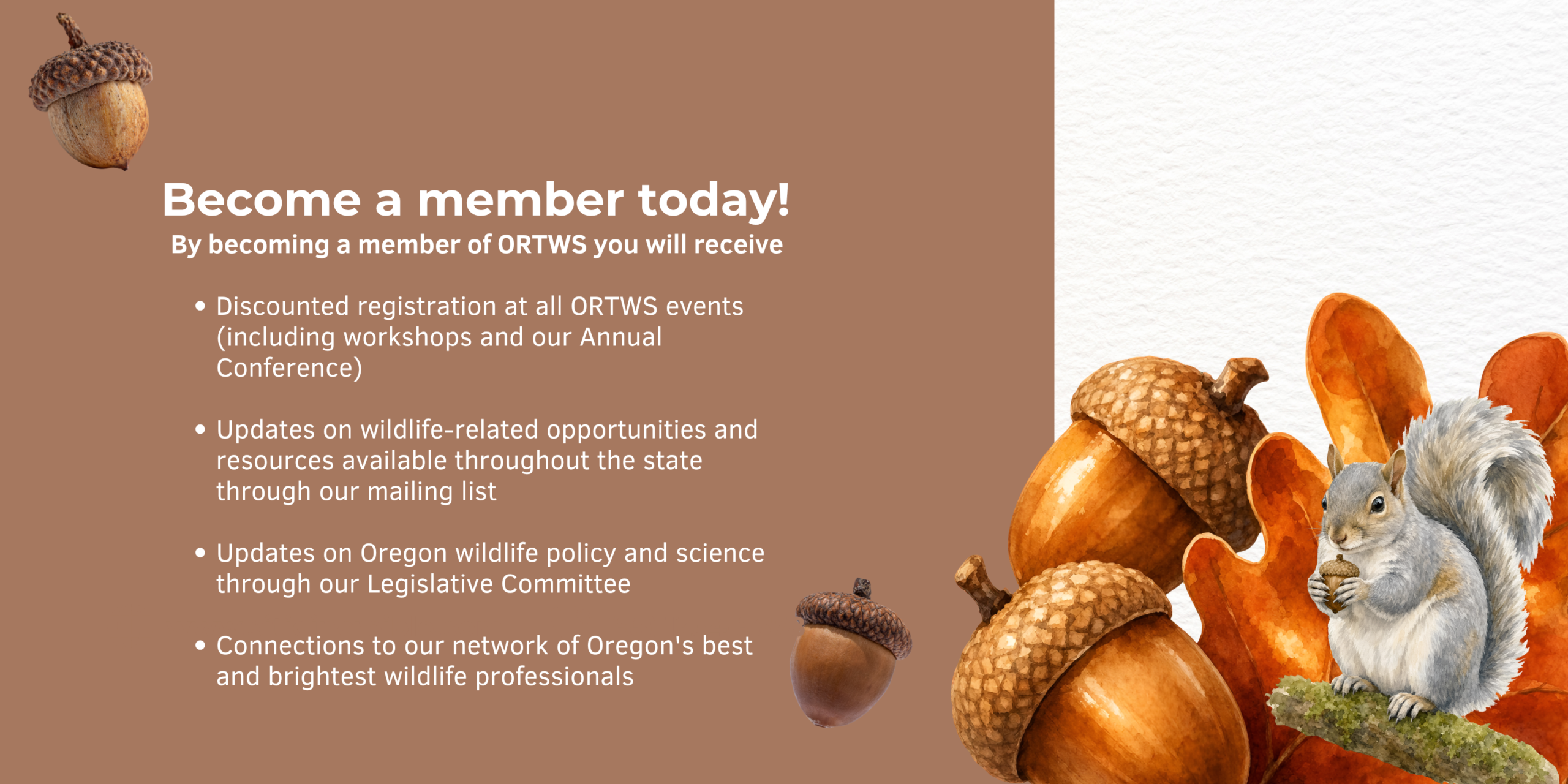 Become a member banner