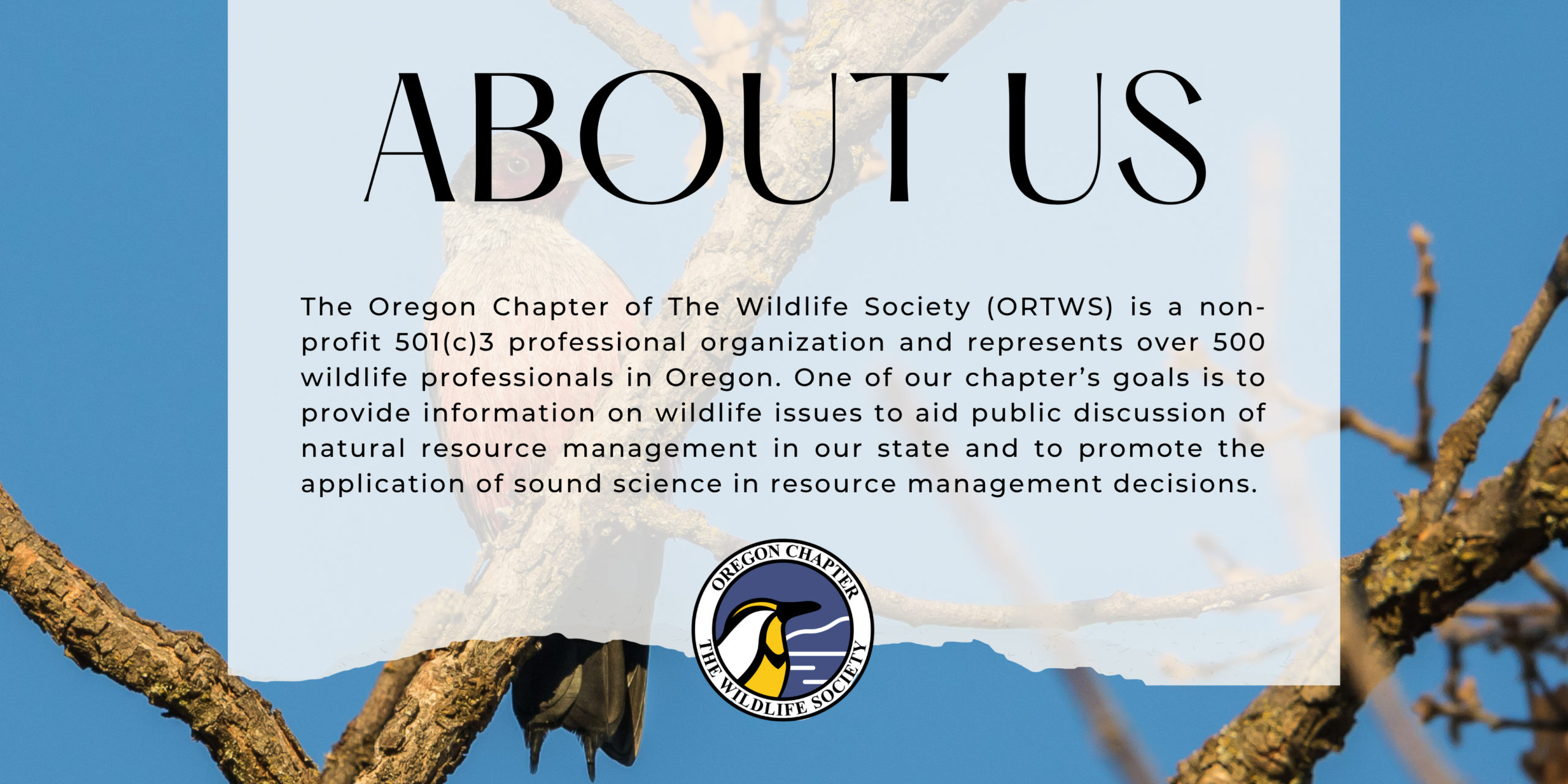 ORTWS About Us banner